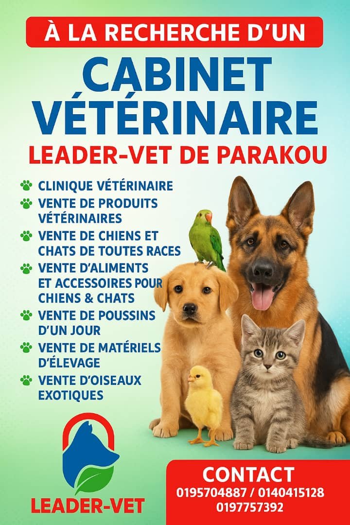 Affiche Leader vet